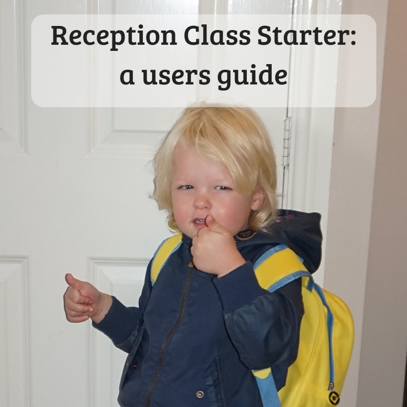 reception-class-starter-a-users-guide-me-annie-bee