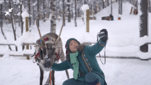 Portable North Pole Magic Pass Elf 